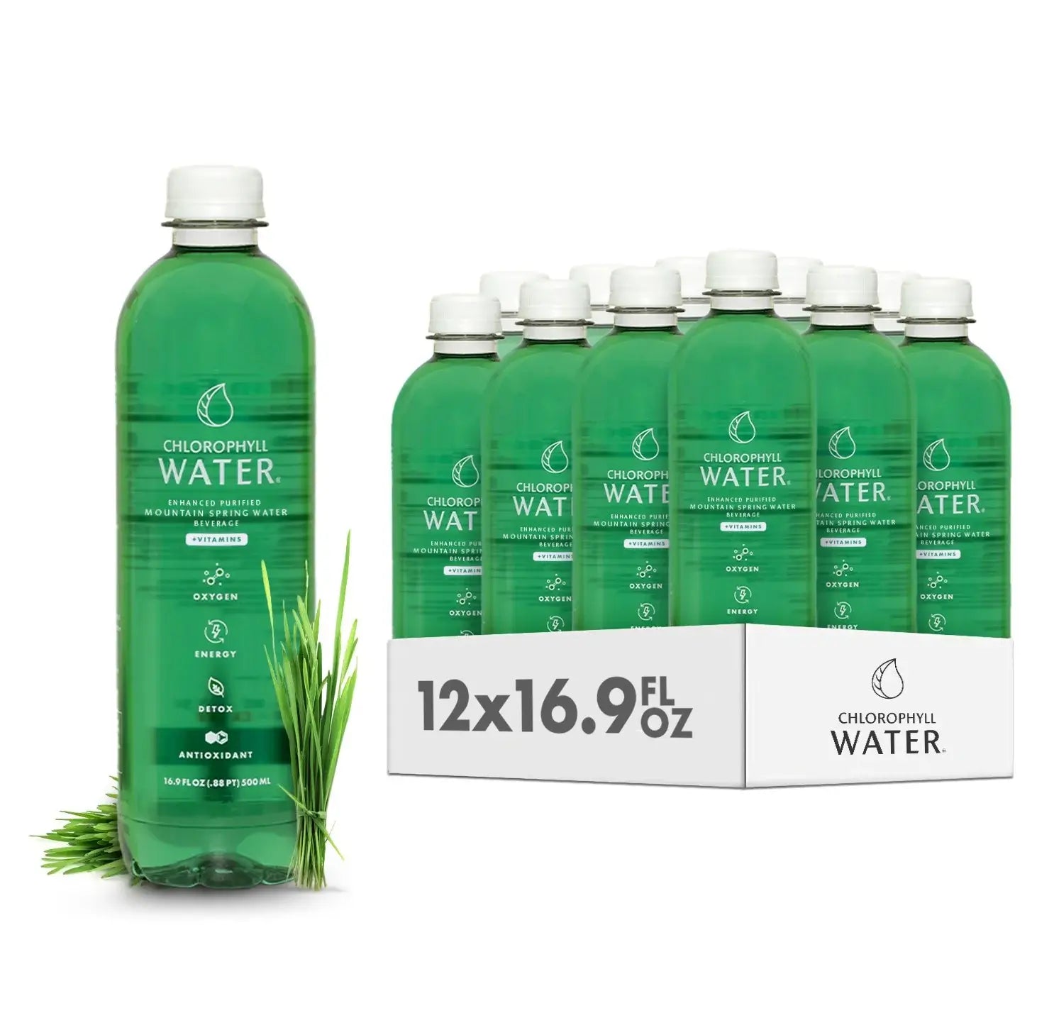 chlorophyll-image