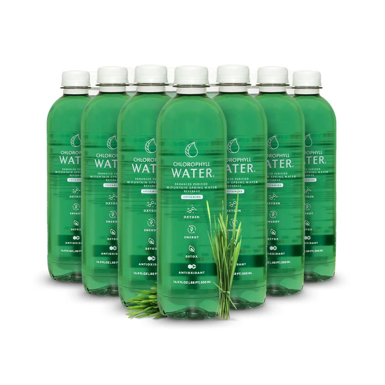 chlorophyll-image