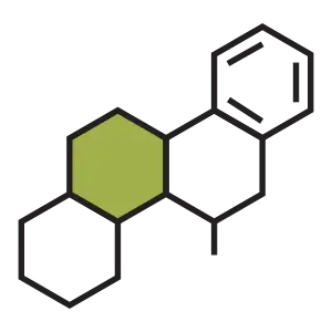 chlorophyll-image
