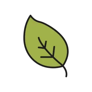 chlorophyll-image