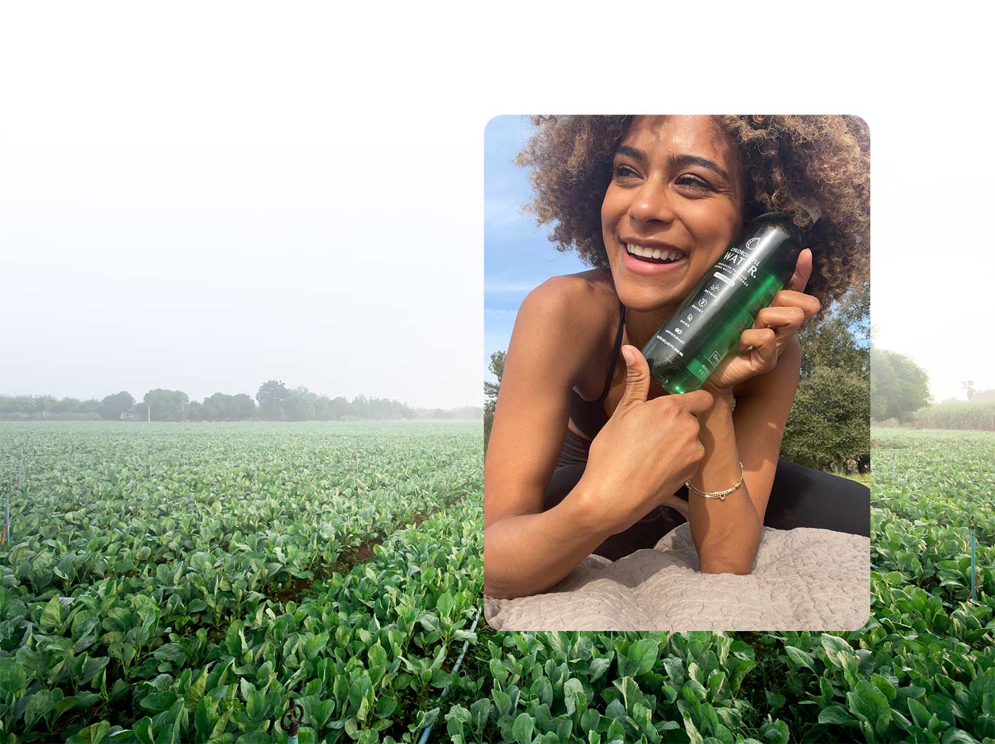 chlorophyll-image