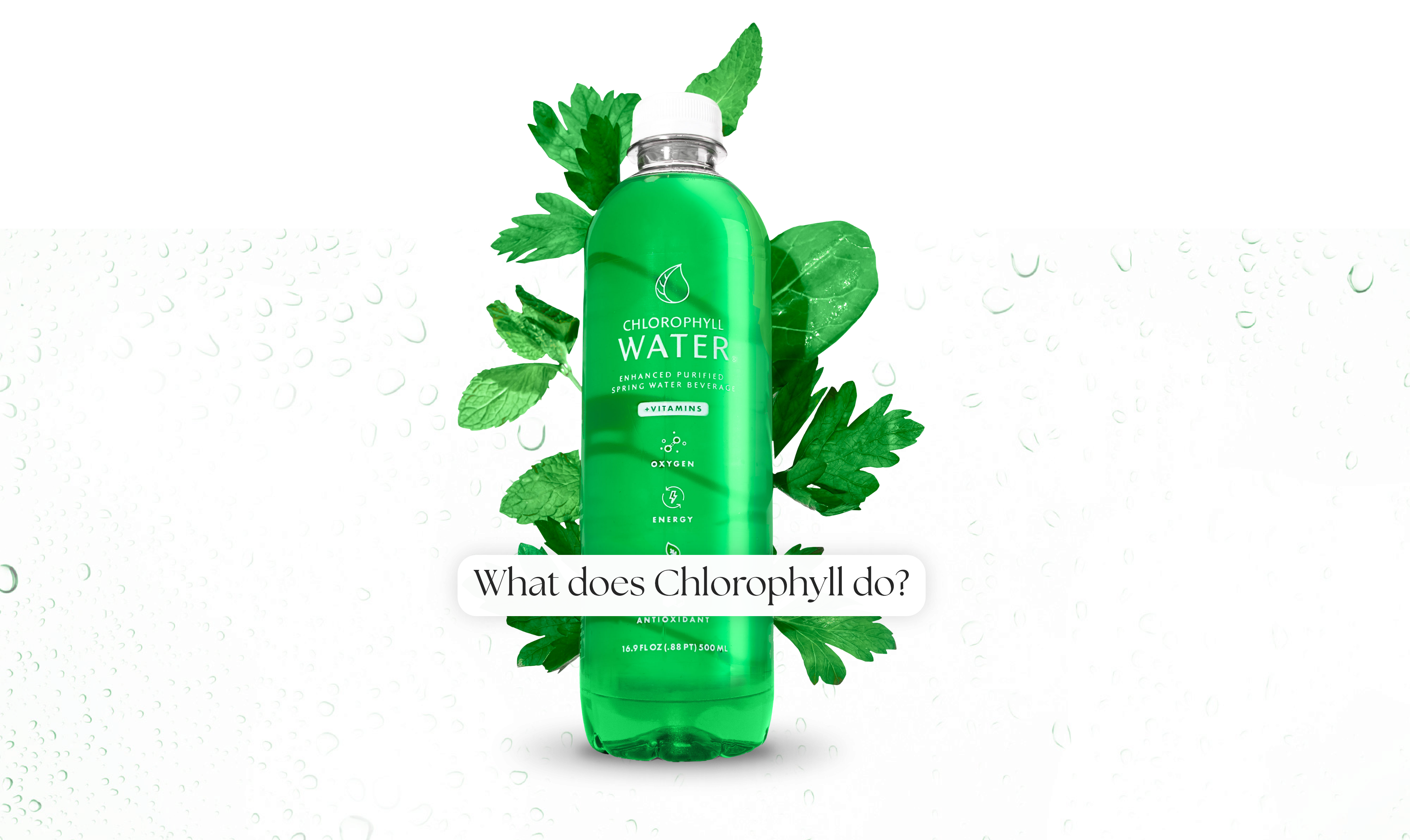 Taking Care Of Mind,Body and Spirit