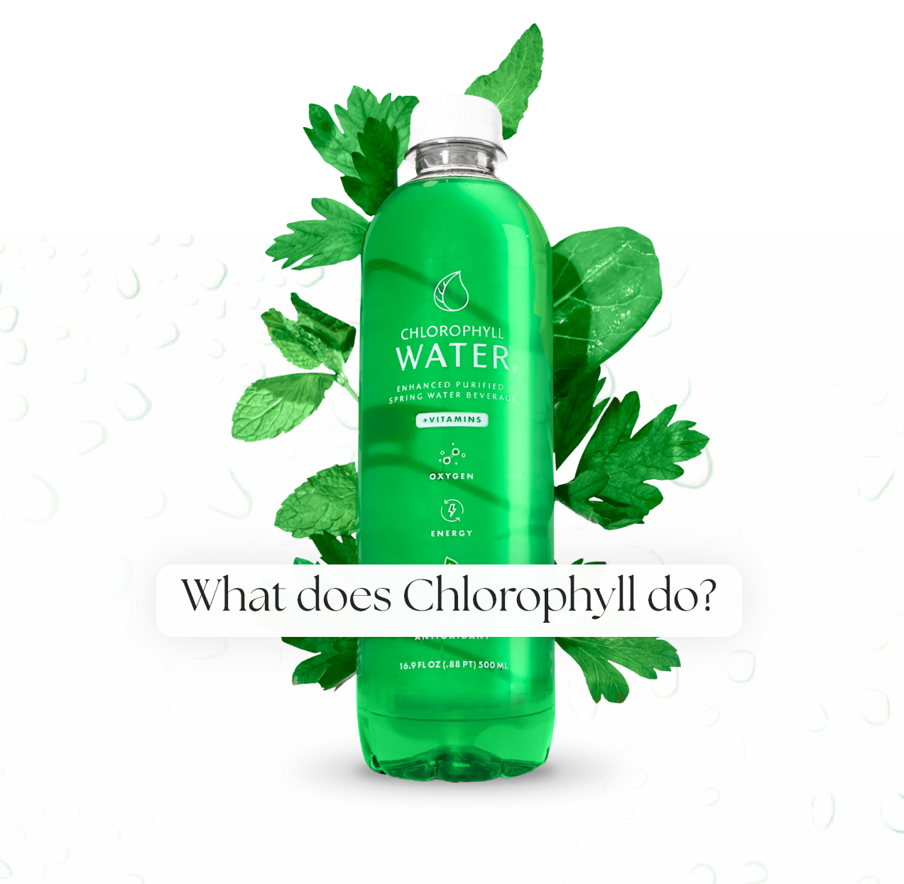 Taking Care Of Mind,Body and Spirit