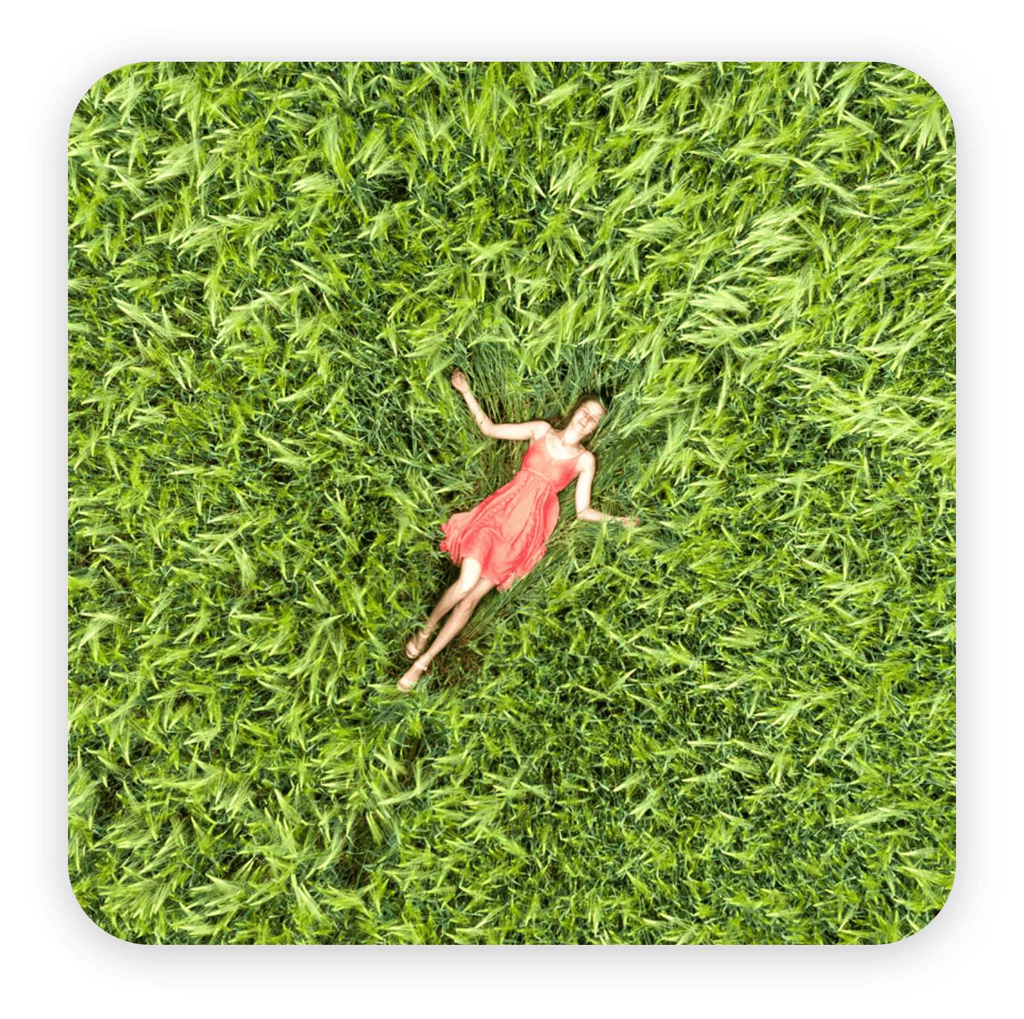 Enhanced mountain spring water