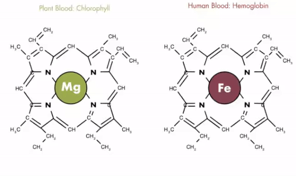 Enhanced mountain spring water
