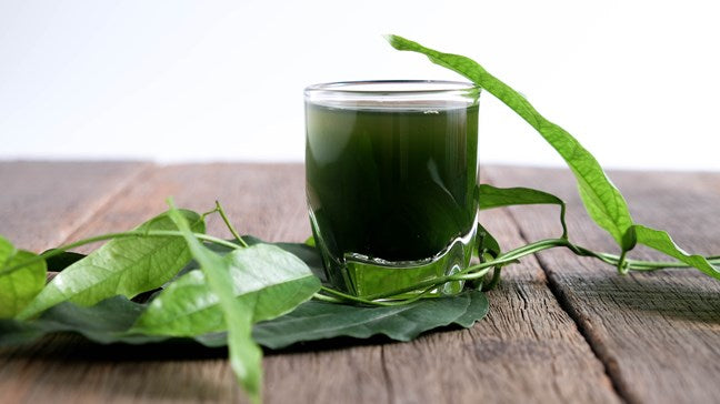 What is Chlorophyll Water and Why Is Everyone Talking About It? [Metro]