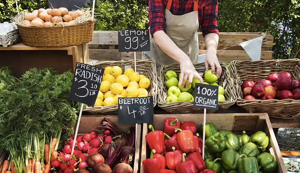 A Plant-Based Diet & Your Immune System by Amanda Webster