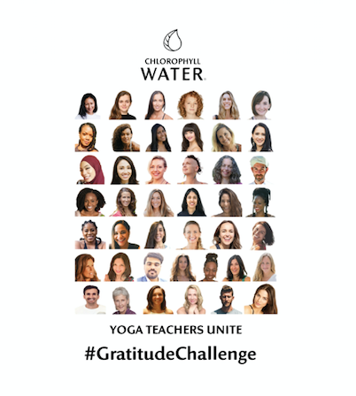 #GratitudeChallenge What are you grateful for? Yoga Teachers Unite by Chlorophyll Water