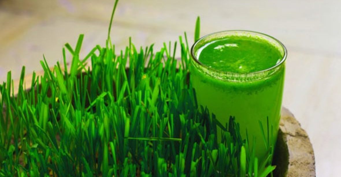 Diabetes Management To Weight Loss: 6 Benefits Of Wheatgrass Juice - The Miracle Drink [NDTV]