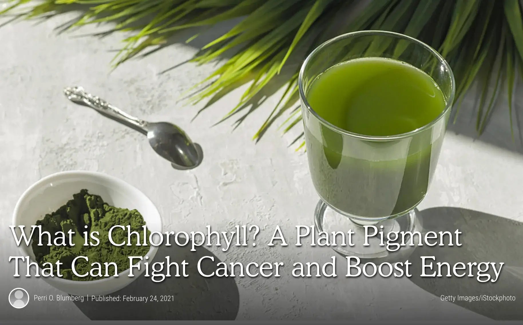 What is Chlorophyll? A Plant Pigment That Can Fight Cancer and Boost Energy [The Beet]