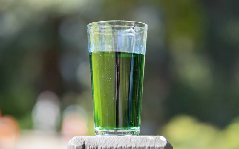 Is Chlorophyll Water Worth The Hype? [The Daily Californian]