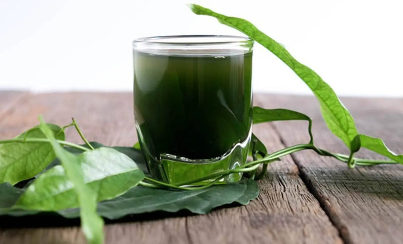 Is Chlorophyll Water actually good for you — or safe? TikTok trend has experts talking [Miami Herald]