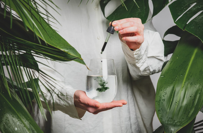 Should You Try Chlorophyll? 4 Potential Benefits [The Healthy]