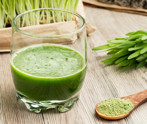 How Chlorophyll Will Help You Lose Weight by Xperience Fitness