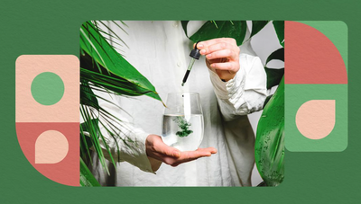 Can Chlorophyll Drops Help You Lose Weight, Fight Cancer, and More? [Everyday Health]