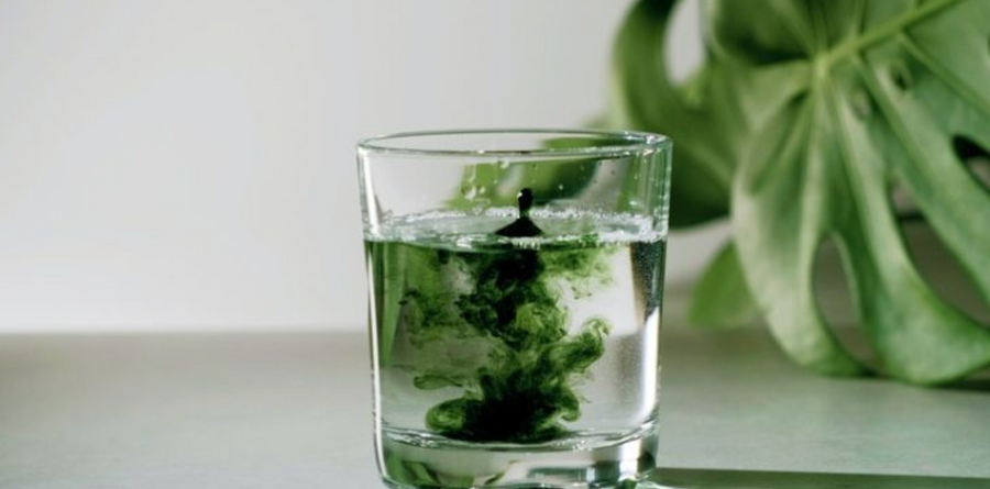 What is Chlorophyll Water? What are its Benefits? by Sam Allcock