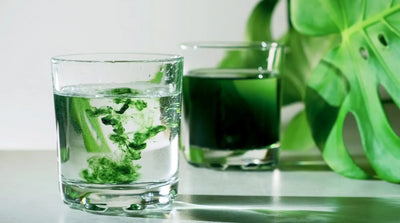 The Latest Green Nutritional Trend Taking Over Grocery Stores [Better Homes & Gardens]