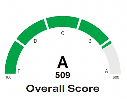 Chlorophyll Water® Receives “A” Brand Score Rating by NielsenIQ