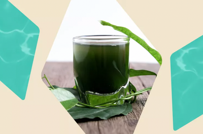 What Is Chlorophyll — And How Can It Help My Skin? [InStyle]