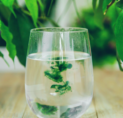 National Geographic: Drinking chlorophyll is a popular wellness trend.