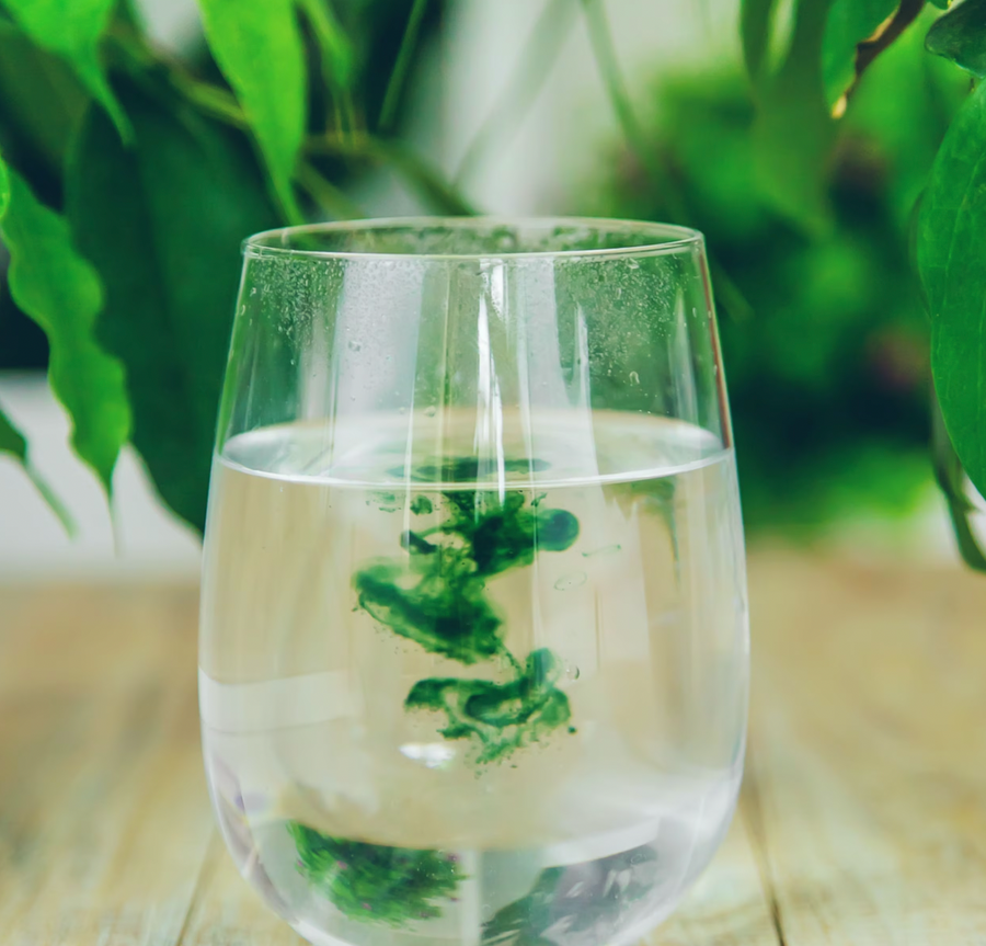 National Geographic: Drinking chlorophyll is a popular wellness trend.