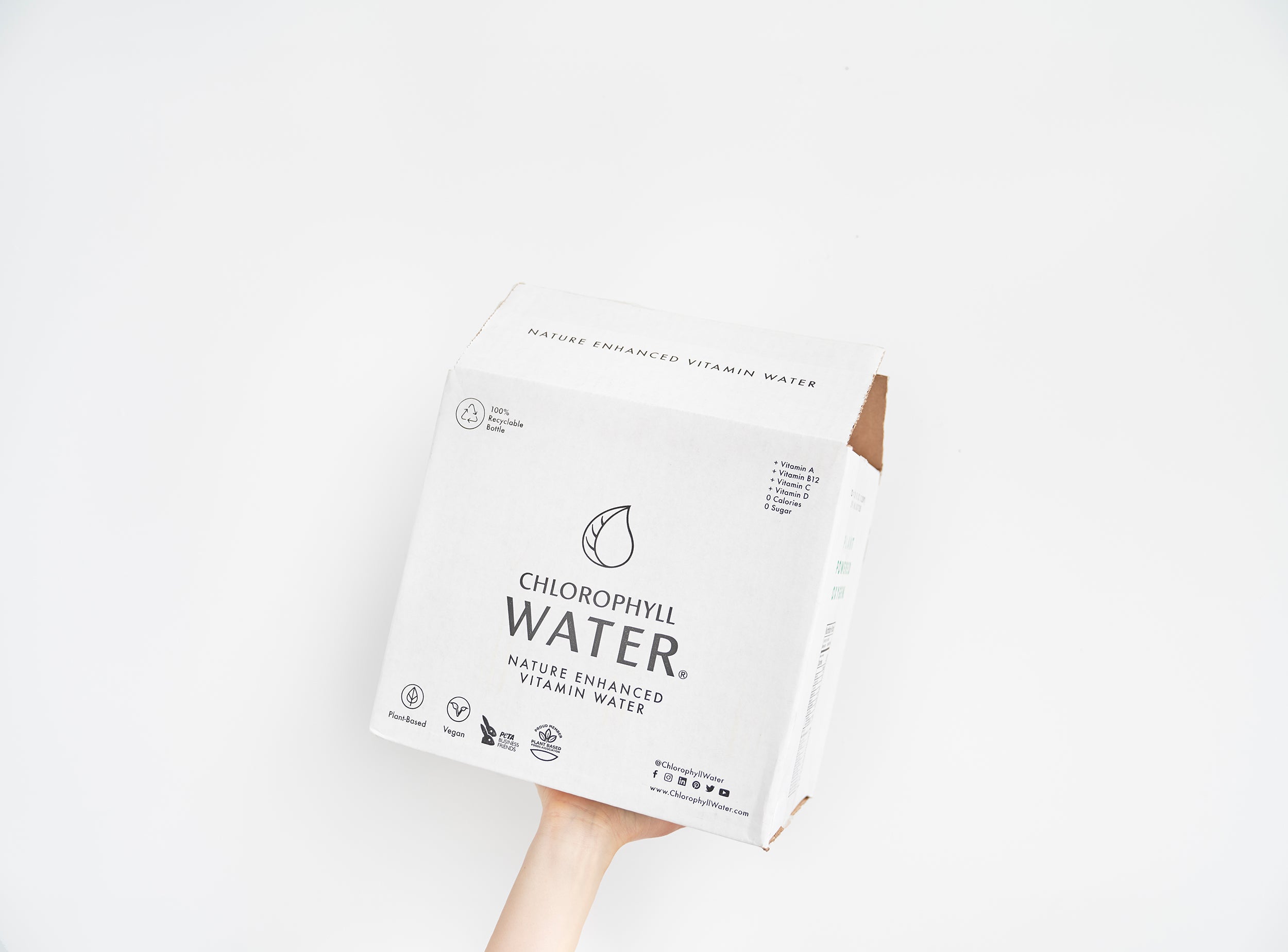 Chlorophyll Water: Good For the Mind, the Body, and the Planet [Green Business Bureau]