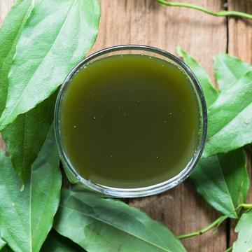 I Drank Liquid Chlorophyll for Two Weeks—Here's What Happened