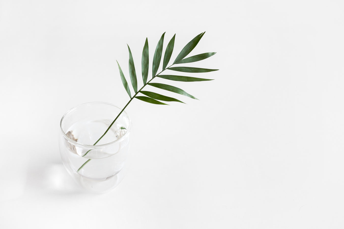 The Benefits of Drinking Chlorophyll Water: Mind, Body, Beauty [Poosh]