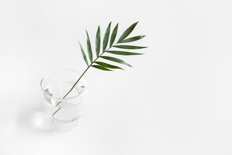 The Benefits of Drinking Chlorophyll Water: Mind, Body, Beauty [Poosh]