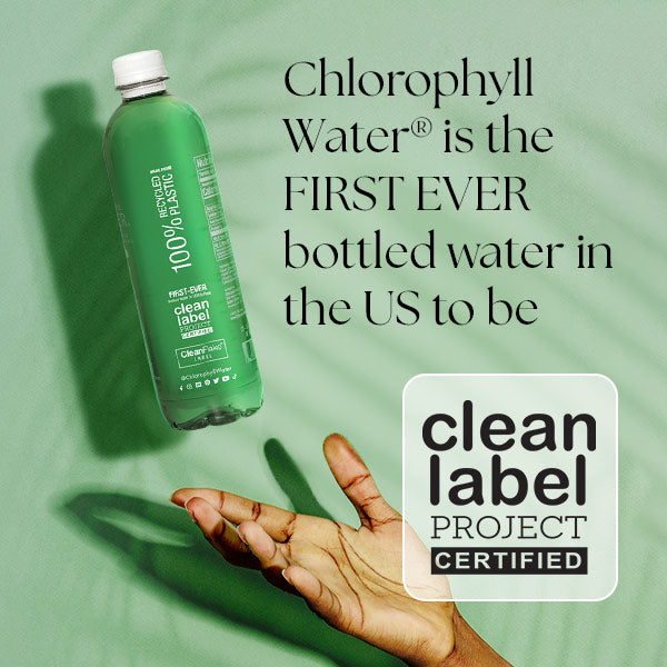 Chlorophyll Water®    (Case of 6): Purified Mountain Spring Water with Essential Vitamins