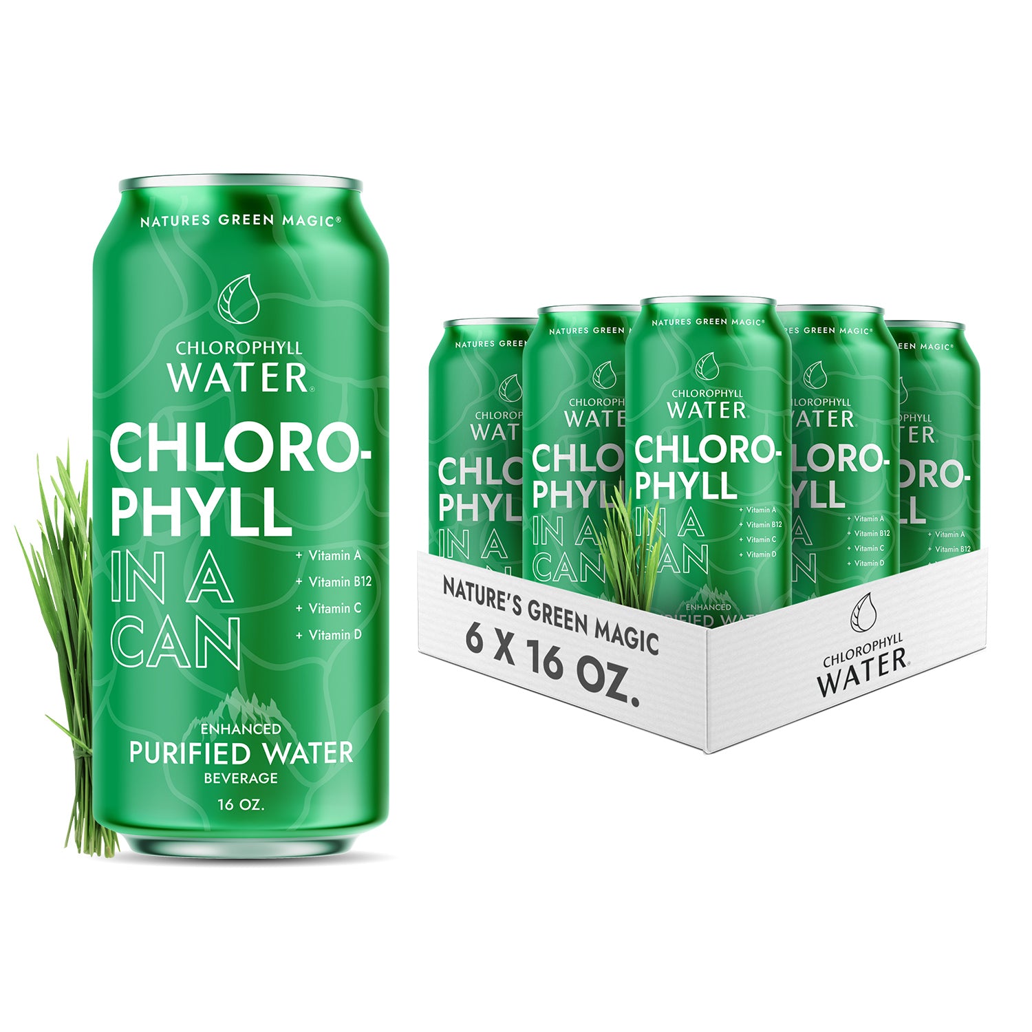 Chlorophyll Water 16oz Aluminum Can (6-Pack)