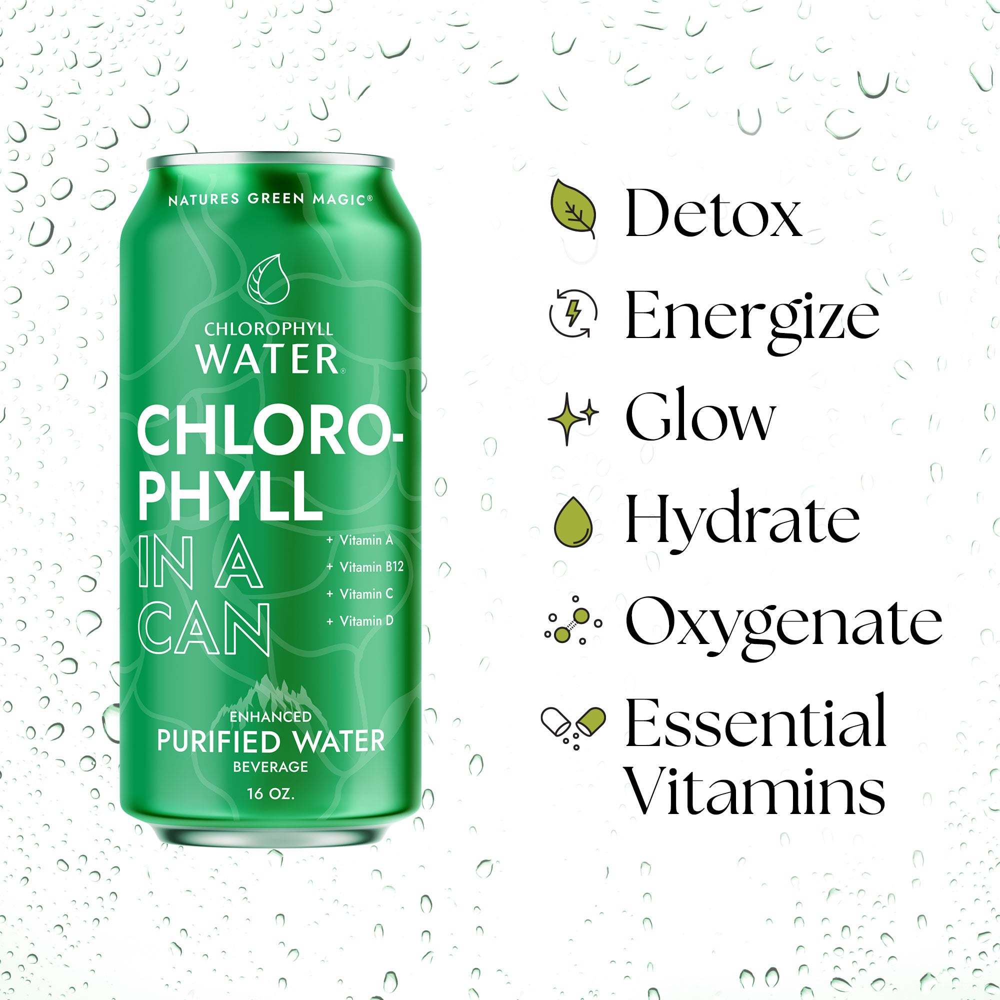 Chlorophyll Water 16oz Aluminum Can (6-Pack)