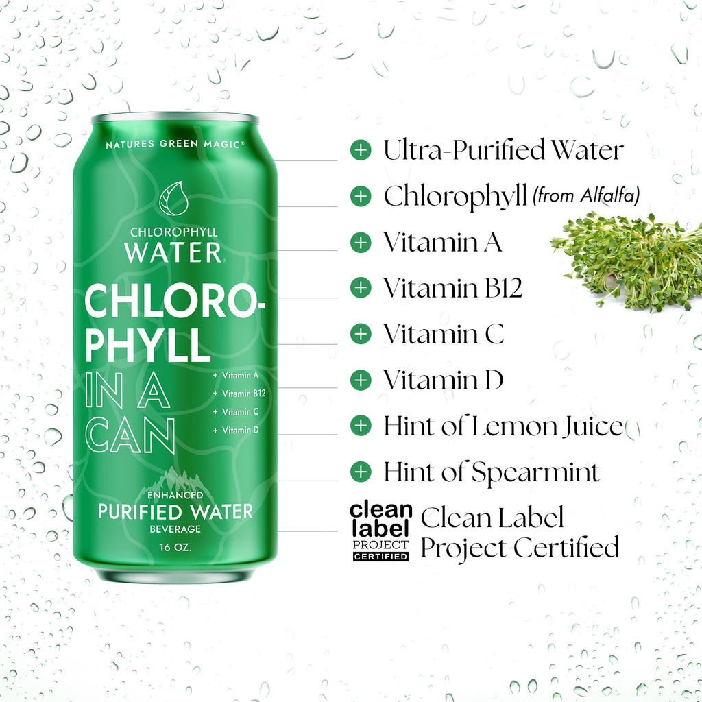 Chlorophyll Water 16oz Aluminum Can (6-Pack)