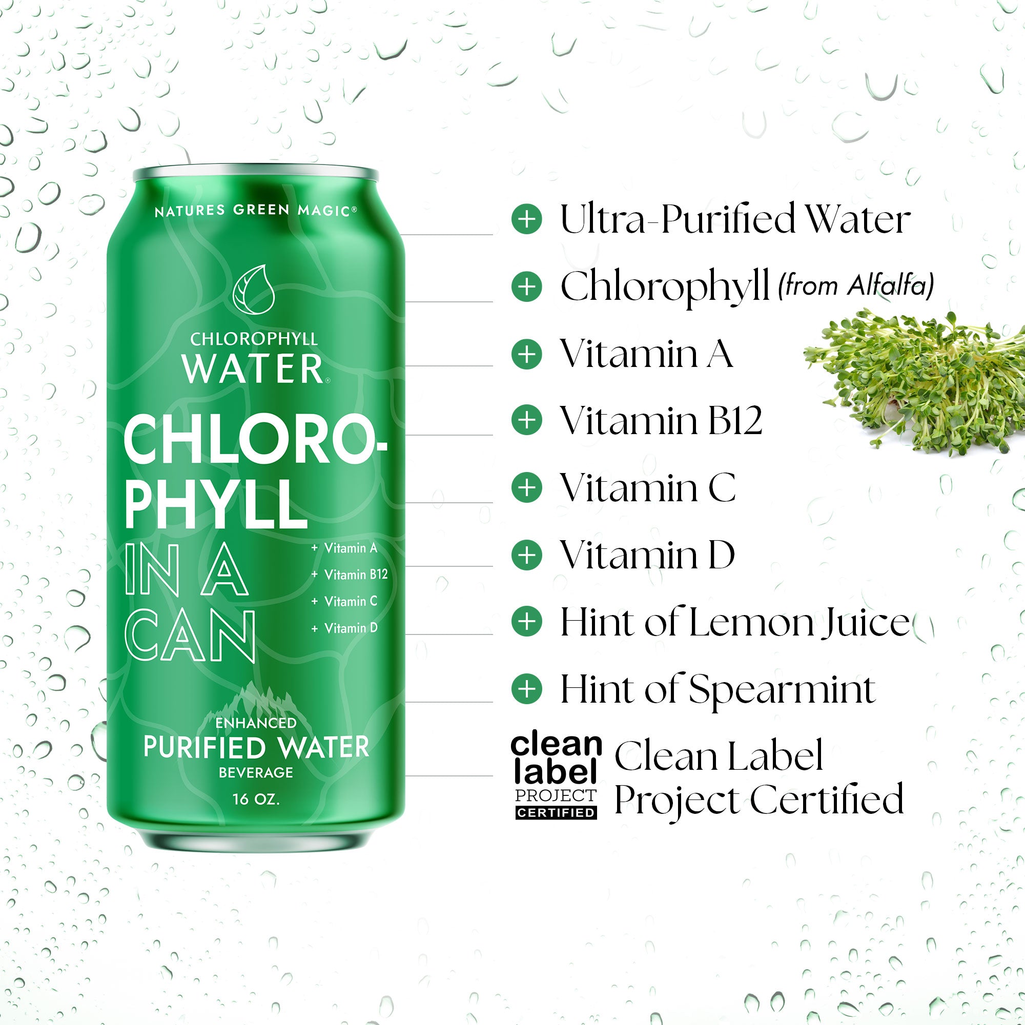 Chlorophyll Water 16oz Aluminum Can (6-Pack)