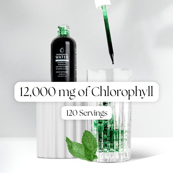 Chlorophyll Water Drops™ | Liquid Chlorophyll Water Drops | Chlorophyll Liquid - Chlorophyll Water 