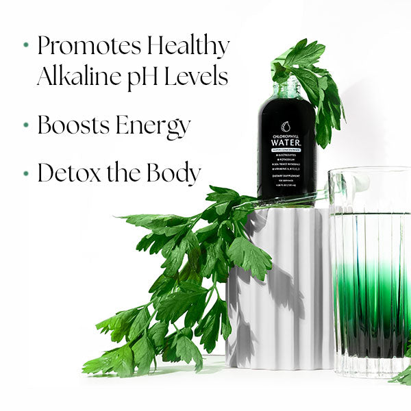 Chlorophyll Water Drops™ | Liquid Chlorophyll Water Drops | Chlorophyll Liquid