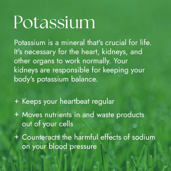 Chlorophyll Water Drops™ | Liquid Chlorophyll Water Drops | Chlorophyll Liquid