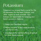 Chlorophyll Water Drops™ | Liquid Chlorophyll Water Drops | Chlorophyll Liquid