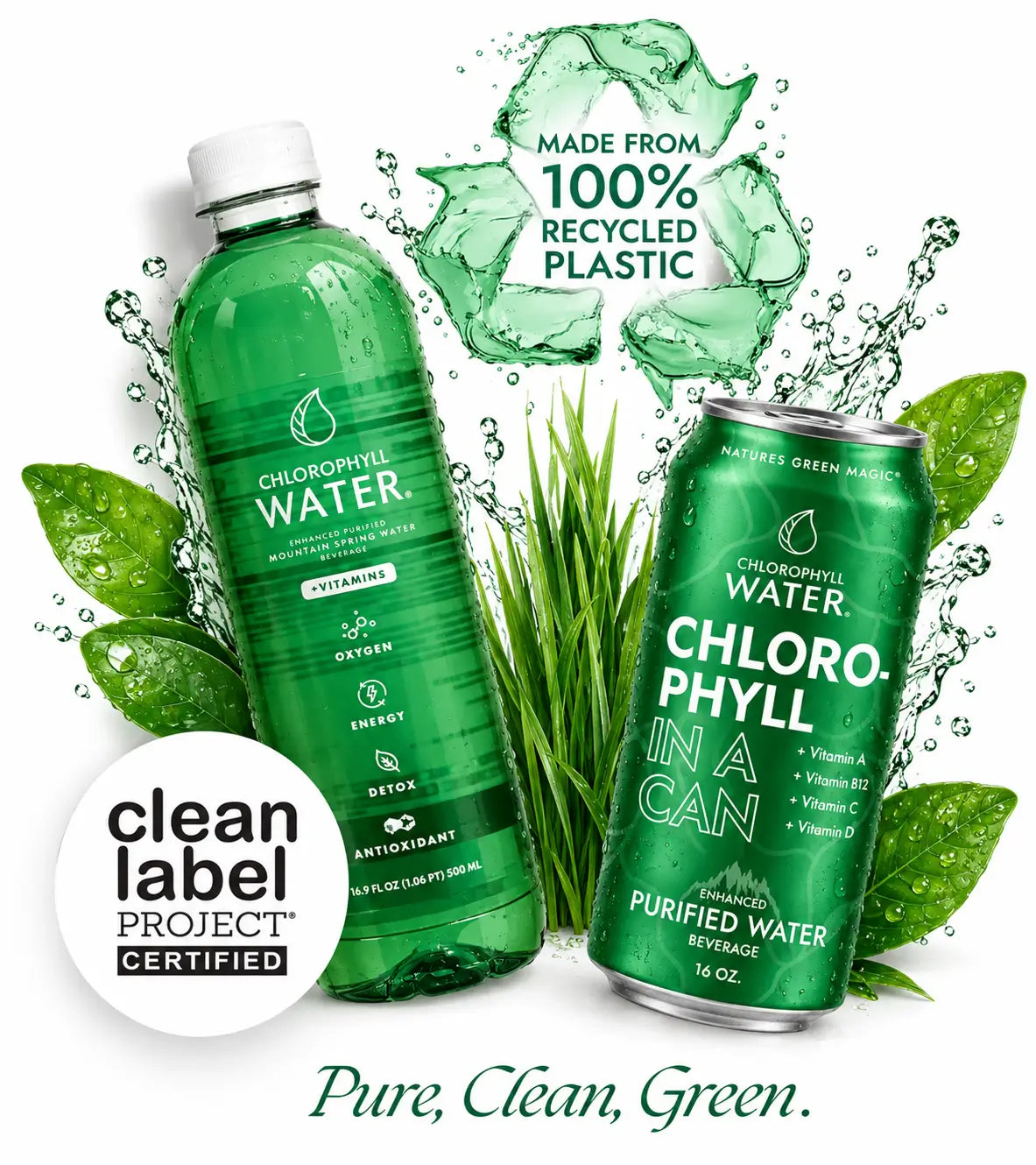 chlorophyll-image