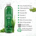 Chlorophyll Water® (Case of 6): Chlorophyll and Ultra-Purified Water with Essential Plant-Based Vitamins A, B12, C and D3