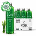 Chlorophyll Water® 1 Liter (Case of 6) Chlorophyll and Ultra-Purified Water with Essential Plant-Based Vitamins A, B12, C & D3.
