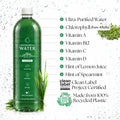 Chlorophyll Water® 1 Liter (Case of 6) Chlorophyll and Ultra-Purified Water with Essential Plant-Based Vitamins A, B12, C & D3.