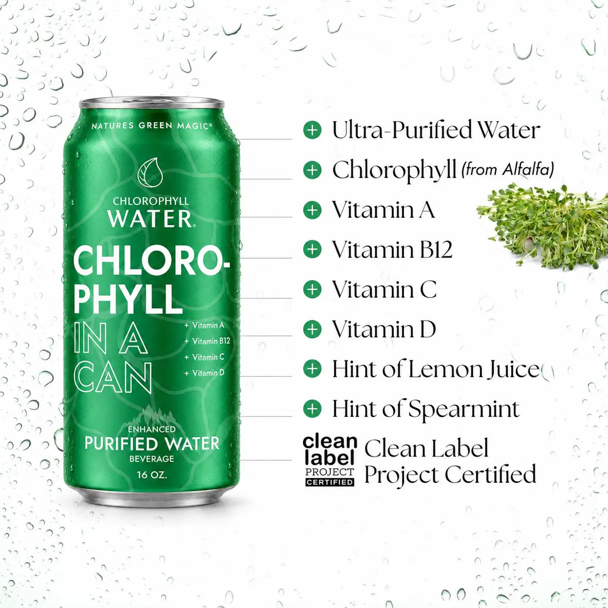 Chlorophyll Water 16oz Aluminum Can (6-Pack)