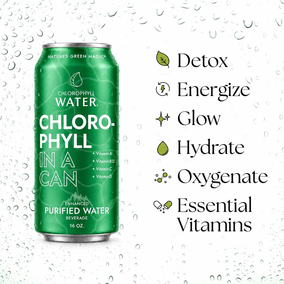 Chlorophyll Water 16oz Aluminum Can (6-Pack)