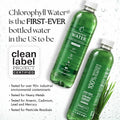 Chlorophyll Water® (Case of 6): Chlorophyll and Ultra-Purified Water with Essential Plant-Based Vitamins A, B12, C and D3