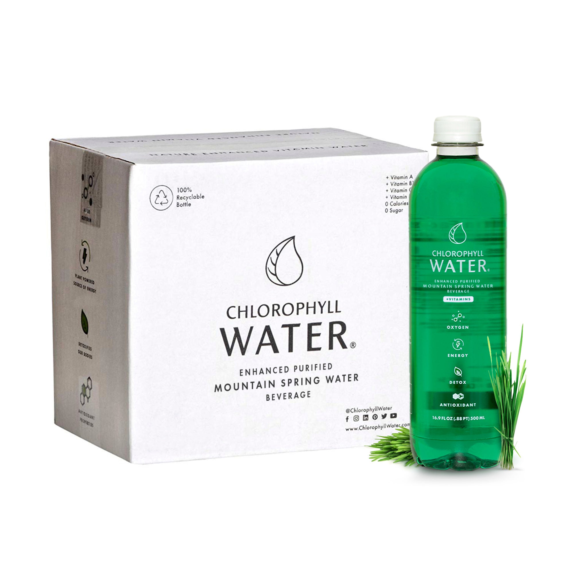 Chlorophyll Water® | Chlorophyll and Ultra-Purified Water with Essential Plant-Based Vitamins A, B12, C & D3 - Chlorophyll Water 