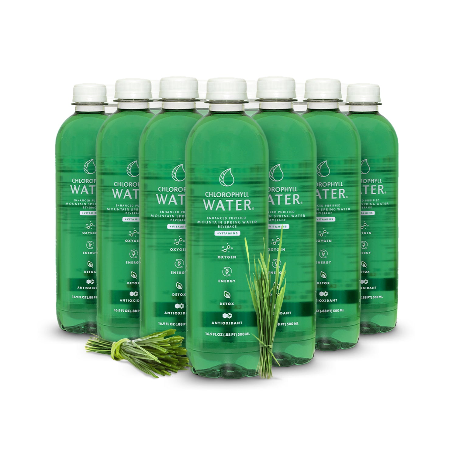Chlorophyll Water® | Chlorophyll and Ultra-Purified Water with Essential Plant-Based Vitamins A, B12, C & D3 - Chlorophyll Water 