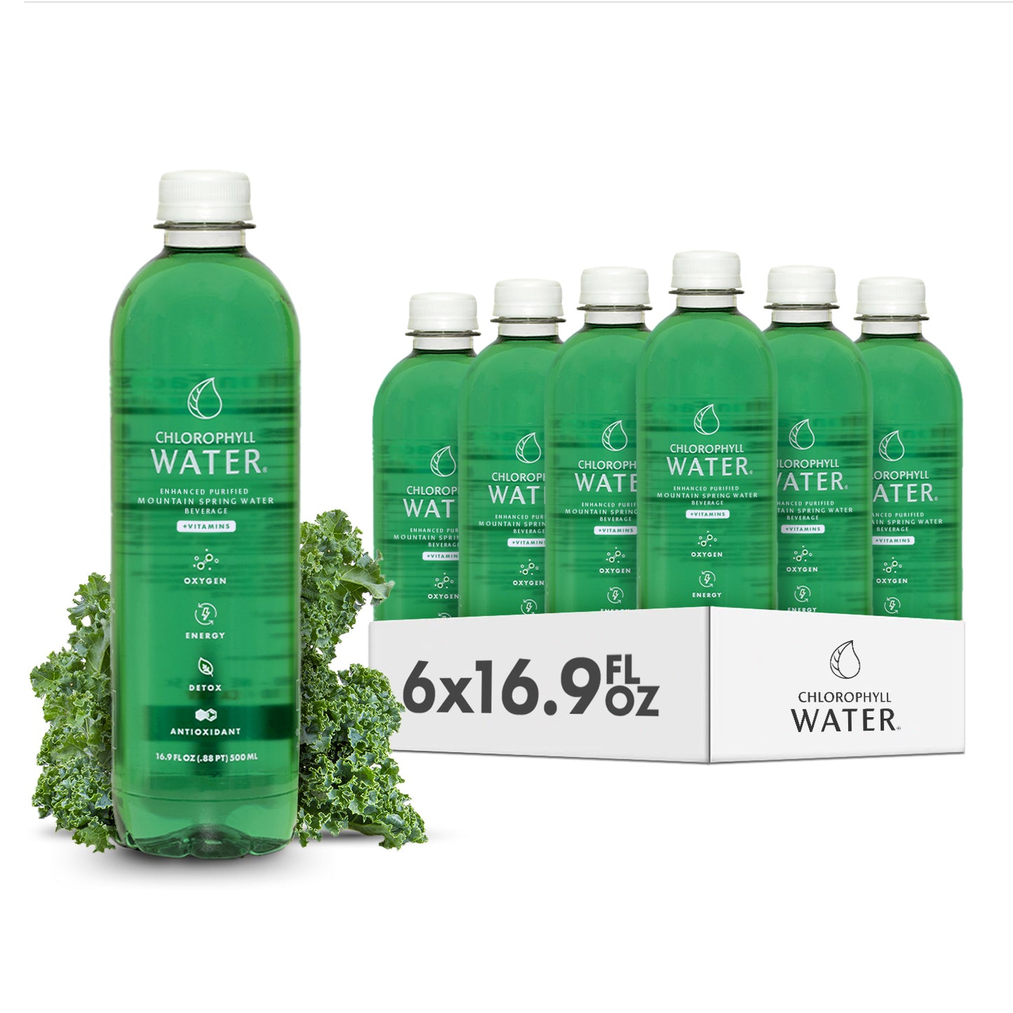 Case of Chlorophyll Water® | Purified Mountain Spring Water with Essential Vitamins