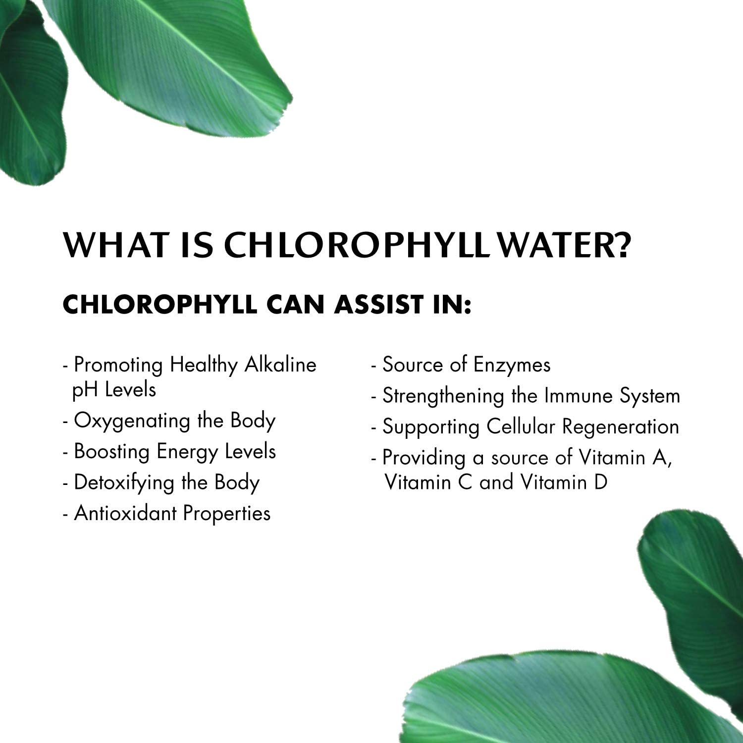 Chlorophyll Water® (2 Cases/24 Bottles) Purified Mountain Spring Water with Essential Vitamins - Chlorophyll Water 