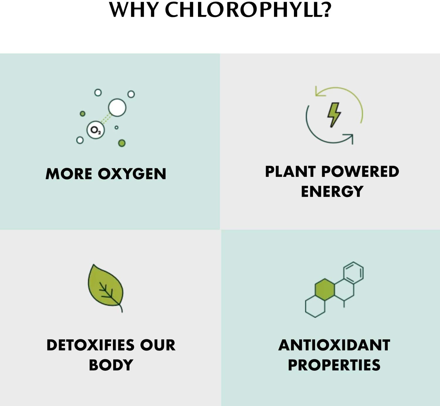 Chlorophyll Water® (2 Cases/24 Bottles) Purified Mountain Spring Water with Essential Vitamins - Chlorophyll Water 